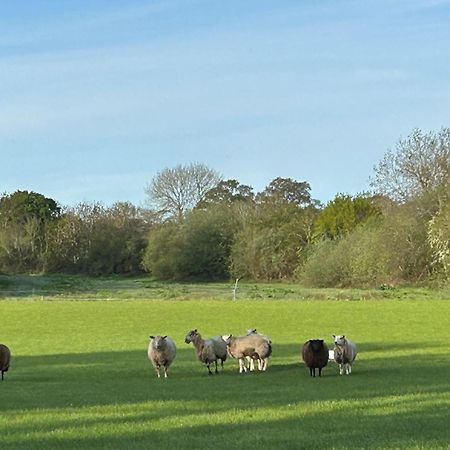 Oak Barn In The Cotswolds Near Moreton In Marsh Shipston-on-Stour المظهر الخارجي الصورة