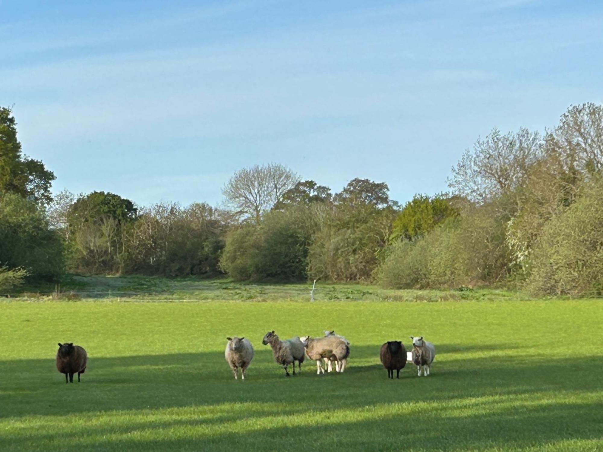 Oak Barn In The Cotswolds Near Moreton In Marsh Shipston-on-Stour المظهر الخارجي الصورة